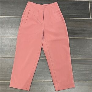 Zara Mauve High Waisted Trousers